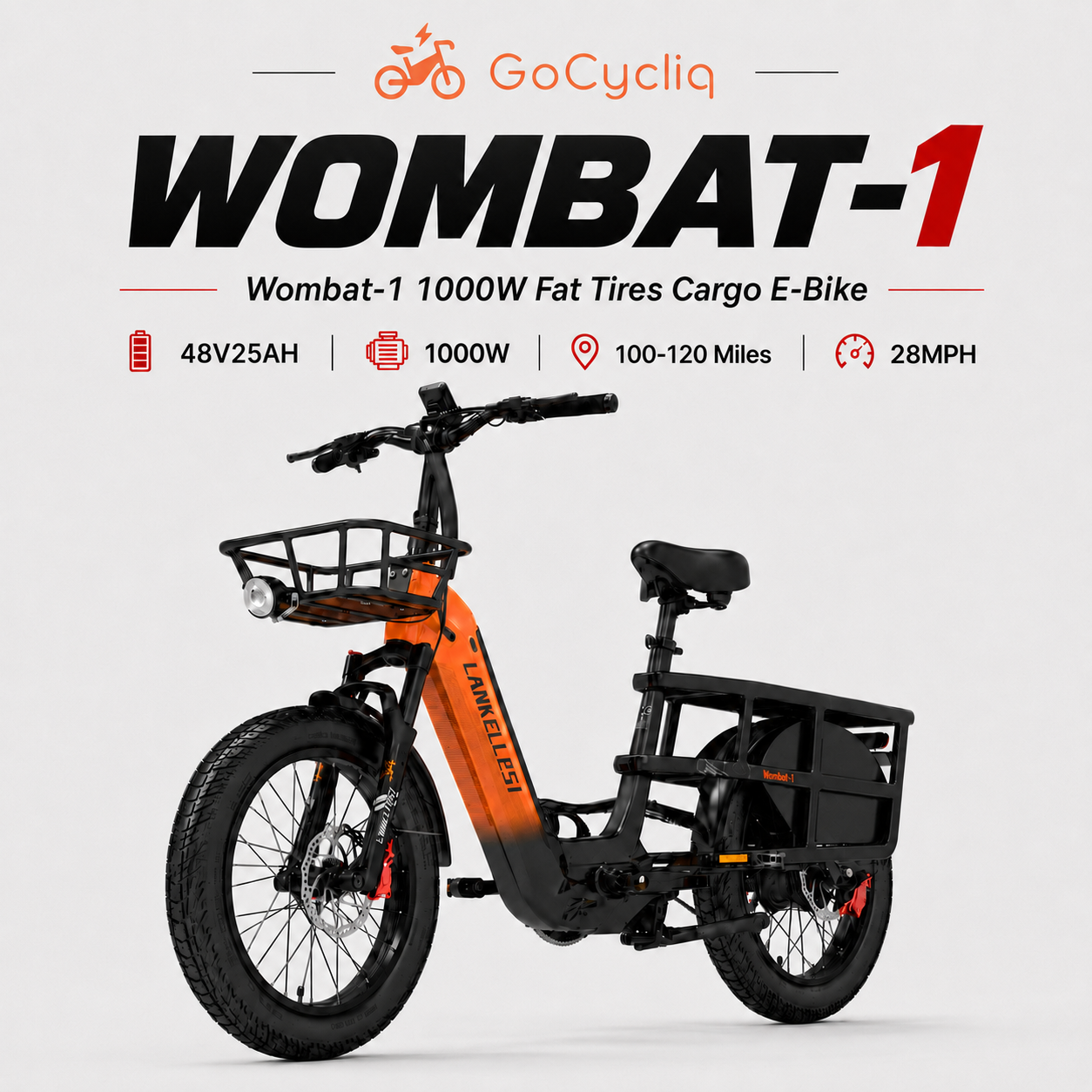 WOMBAT-1